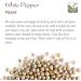 White Peppercorns Whole 100g - Premium White Peppercorn Spice - Buy Online on SooperMarket.com