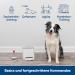 PetSafe Teach & Treat Remote Dog Trainer | Positive Reinforcement & Rewards | International Shipping Available - Buy Online on SooperMarket.com