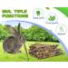 ABIZOO 18-Piece Rabbit Chew Toy Set | Natural Apple Sticks & Dental Care for Rabbits Hamsters & Guinea Pigs - Buy Online on SooperMarket.com