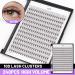 Bodermincer 240 Bundles D Curl 10D 0.1mm Individual Eyelash Extensions - Natural Cluster Lashes (8mm) for International Shipping - Buy Online on SooperMarket.com