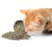 Maximum Potency Organic Catnip Blend - Premium Cat Weed for Crazy Cat Play - 1 Cup - Buy Online on SooperMarket.com