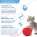 Churu Katzensnacks for Kittens - Healthy Tuna Treats for Young Cats Under 12 Months (56 Pieces 1 Pack) - Buy Online on SooperMarket.com