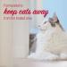 Nature's Miracle Advanced Cat Repellent Spray - 8 oz Indoor Training Aid - Buy Online on SooperMarket.com