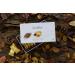 Cardelion Marron Glace - Candied Chestnuts Special Occasions Suitable for All Seasons (360 Gram 12.6 oz 20 Pieces) - Buy Online on SooperMarket.com