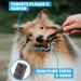SKIPPER'S Wolf Fish Skin Flatties - Air Dried Grain Free Dog Treats Healthy & Long Lasting Natural Dog Dental Chews High in Protein with Essential Omega 3 & 6 Oils | Great for Teeth Regular (250g) 250 g (Pack of 1) Regular - Buy Online on SooperMarket.com