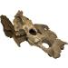 Awesome Aquatic Natural Medium Holey Driftwood 7 - 12 Nano Fish Aquarium Shrimp Tank Terrarium Reptile Branch & Log Habitat Wood Decoration Arts & Crafts Decor (Med Holey 7-12 inch) - Buy Online on SooperMarket.com