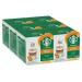 STARBUCKS Caramel Macchiato by Nescaf Dolce Gusto coffee capsules 6 x 12 (72 capsules 36 servings) Caramel 12 pieces (pack of 6)