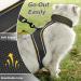 HEYWEAN Cat Harness and Leash Set - Escape Proof Kitten Harness for Outdoor Walking - Adjustable and Reflective - Dark Grey - Sizes S, M, L - Buy Online on SooperMarket.com