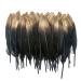 50pcs Dipped Gold & Silver Goose Feathers 6-8 inch Natural Feather for a Variety of Crafts and Apparel (Gold&Black)