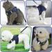 Adjustable Cat Dishes Break-In Set | Soft Inner Lining & Breathable Mesh for Cats & Puppies - Navy Blue (M) | International Shipping Available - Buy Online on SooperMarket.com