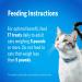 Purina DentaLife Dental Cat Treats by Purina DentaLife - Buy Online on SooperMarket.com