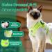 Supet Cat Dishes & Soft Vest for Kittens & Dogs - Green - Breakfast Cat Lines - Perfect Fit for Chihuahuas (26-32 cm) - Buy Online on SooperMarket.com
