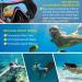 Gimilife Swim Mask - Anti-Fog Diving Goggles with Nose Cover and Earplugs for Adult Snorkeling & Scuba Dive - Black/Pink - Buy Online on SooperMarket.com