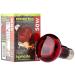 Komodo Infrared Heat Lamp ES 50 Watt