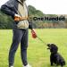 Total Pet Dog Treat Pouch Bag - Silicone, Belt & Clip, Magnetic Closure | Ideal for Puppy & Dog Training/Walking - Buy Online on SooperMarket.com