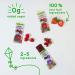 Stretch Island Fruit Leather Cherry 0.5oz 30 ct - Original Snack Pack - Buy Online on SooperMarket.com