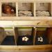 Washable Chicken Nesting Pads 6-Pack - Black | Coop Bedding for Nesting Boxes - Buy Online on SooperMarket.com