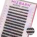 MIZ BARN Lash Clusters 144pcs Lash Extension D Curl Eyelash Clusters 12-18mm individual Lashes Fluffy False Eyelashes Clusters DIY at Home (D-12-18 MIX)(DIY-11 MIX) DIY 11