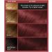 L'Or al Paris Colorista Permanent Cherry Red Hair Dye - Vibrant At-Home Color with High Shine - Buy Online on SooperMarket.com