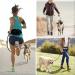 Hands-Free Dog Running Lead with Reflective Stitching - Adjustable Waistband, Dual Handles, Bungee Leads - Black - Buy Online on SooperMarket.com