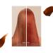 Wella Professional Color Fresh Mask Temporary Hair Color Refresh Treatment Semi-Permanent Hair Dye Hair Gloss Treatment Copper Glow 500 ml Copper Glow 500 ml (Pack of 1) - Buy Online on SooperMarket.com