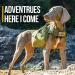 OneTigris Dog Pack Hound Backpack for Medium & Large Dogs | Ranger Green Large - Buy Online on SooperMarket.com