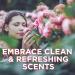 Glade PlugIns Rose & Bloom Air Freshener Refills - 5 Count Pack, 3.35 Fl Oz - Scented Essential Oils for Home & Bathroom - Buy Online on SooperMarket.com