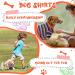 6-Piece Classic Striped Dog Pajama Set | Stretchable & Colorful | Soft Cotton Knitted Jumpsuit for Small Dogs & Cats | Warm & Lightweight Pet Clothes (Medium) - Buy Online on SooperMarket.com