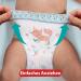 Pampers Premium Protection Pants Size 5 (36 Nappies) for 12-17 kg | International Shipping Available - Buy Online on SooperMarket.com