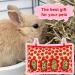 2 Pieces Rabbit Hay Bag Small Animals Hay Feeder Bag Hanging Feeding Storage Guinea Pig Hanging Feeder Sack with 4 Holes for Small Pets Rabbit Bunny Hamster Guinea Pig (Pineapple Strawberry) - Buy Online on SooperMarket.com