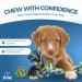 Fur & Bone 10 Pack Dog Chew Toys | Puppy Toys Dog Toys for Boredom | Indestructible Dog Toys with Rope Toys Squeaky Toy | Dog Toy Dog Teething Toys for Small & Medium Dogs | Dog - Buy Online on SooperMarket.com