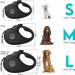 Dog is K nig 5m Roller Dog Leash | High-Quality Extendable Leash for Small & Large Dogs | Robust Design | Comfort Handle | Smart Brake System | Night Black - Buy Online on SooperMarket.com
