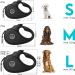 Dog is K nig 5m Roller Leash | High-Quality Extendable Dog Leash for Small & Large Dogs | Comfortable Handle | Robust Design | Smart Brake System | Ideal for 15-50kg Dogs | Night Black - Buy Online on SooperMarket.com