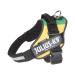 IDC Powerharness Size: L/1 Lithuanian Colors Lithuanian Colors L/1