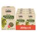 Explore Cuisine Bio Fettuccine from Edamame (green soybeans) and mung beans - gluten -free pasta vegetable protein pasta without additives little carbohydrates vegan 6x 200g 200 g (6 Pack)