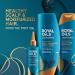 Royal Oils by Head & Shoulders: Sulfate-Free Coconut Oil Shampoo & Conditioner Set for Scalp Care - Buy Online on SooperMarket.com