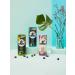 Koawach Organic Fairtrade Chocolate Drink - Caffeine Cocoa Energy Drink in Various Flavors (12 x 235ml) - Buy Online on SooperMarket.com