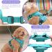 Buy Tikxlafe Cat Dishes with 150 cm Leash Adjustable Polyester Cat Linen Set for Kittens (Blauer See Size S) | International Shipping - Buy Online on SooperMarket.com