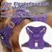Rabbitgoo Adjustable Dog Harness for Medium Dogs - Durable Tactical Wear-Resistant with Metal Buckles & Handles - Perfect for Hiking (Purple M) - Buy Online on SooperMarket.com