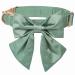 Lionet paws dog collar fly - comfortable silk dog collar with removable fly for puppies and cats neck 20-30cm XS collar & fly (1 Pack) grassy