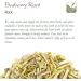 Barberry Root Bark Herb - Berberis Vulgaris Roots - 100g - Buy Online on SooperMarket.com
