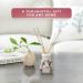 Yankee Candle Signature Scented Reed Diffuser | Black Cherry Aroma Diffuser | up to 10 Weeks of Fragrance | 100 ml | Perfect Gifts for Women - Buy Online on SooperMarket.com