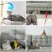 Toozey Cat Toys 16 PCS Set | Interactive Fishing Rod Feather & Bug Replacements with Bells | Bonus Storage Bag | International Shipping Available - Buy Online on SooperMarket.com
