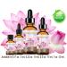 PINK LOTUS OIL 0.5 fl oz - Pure Natural Anti-Aging Face Oil for Skin & Hair | Rich in Vitamin C | Botanical Beauty - Buy Online on SooperMarket.com