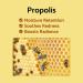 iUNIK Propolis Edition Skincare Set - Revitalize Skin with Propolis & Buckthorn Extracts | Sleeping Mask & Mini Serum | International Shipping Available - Buy Online on SooperMarket.com