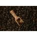 Roasted Coffee Beans - Medium Grind - Vietnamese (Blossom Blend Medium Grind 250) Blossom Blend Medium Grind 250 g (Pack of 1) - Buy Online on SooperMarket.com