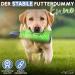 Ostfriesenpfoten Enno: Durable Feed Bag for Dogs | Washable & Versatile | Size L | Includes Agility Training eBook | Neongr n | International Shipping Available - Buy Online on SooperMarket.com