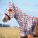 Harrison Howard Soft Fleece Trim Stretchy All-Covered Comfortable Horse Head Hood with zipper-vivid stars L full (large) lively stars