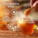 Honibe 100% Pure Honey Lozenges | Made in Canada | Mucus and Cough Relief | With Elderberry | 1 pack (10 lozenges) | Natural Berry - Buy Online on SooperMarket.com