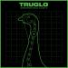 TRUGLO Bright Thru-See Splatter Florescent Self-Adhesive High-Visible Turkey Hunting Targets 12X12 with Increased Target Life, Available in 6-12-Pack Options 6-Pack